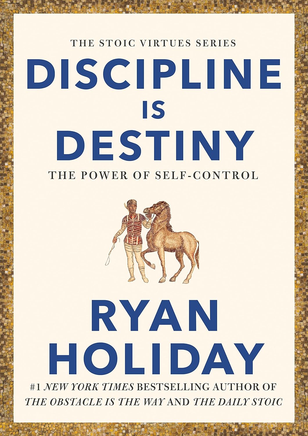 DISCIPLINE IS DESTINY - Book Monk