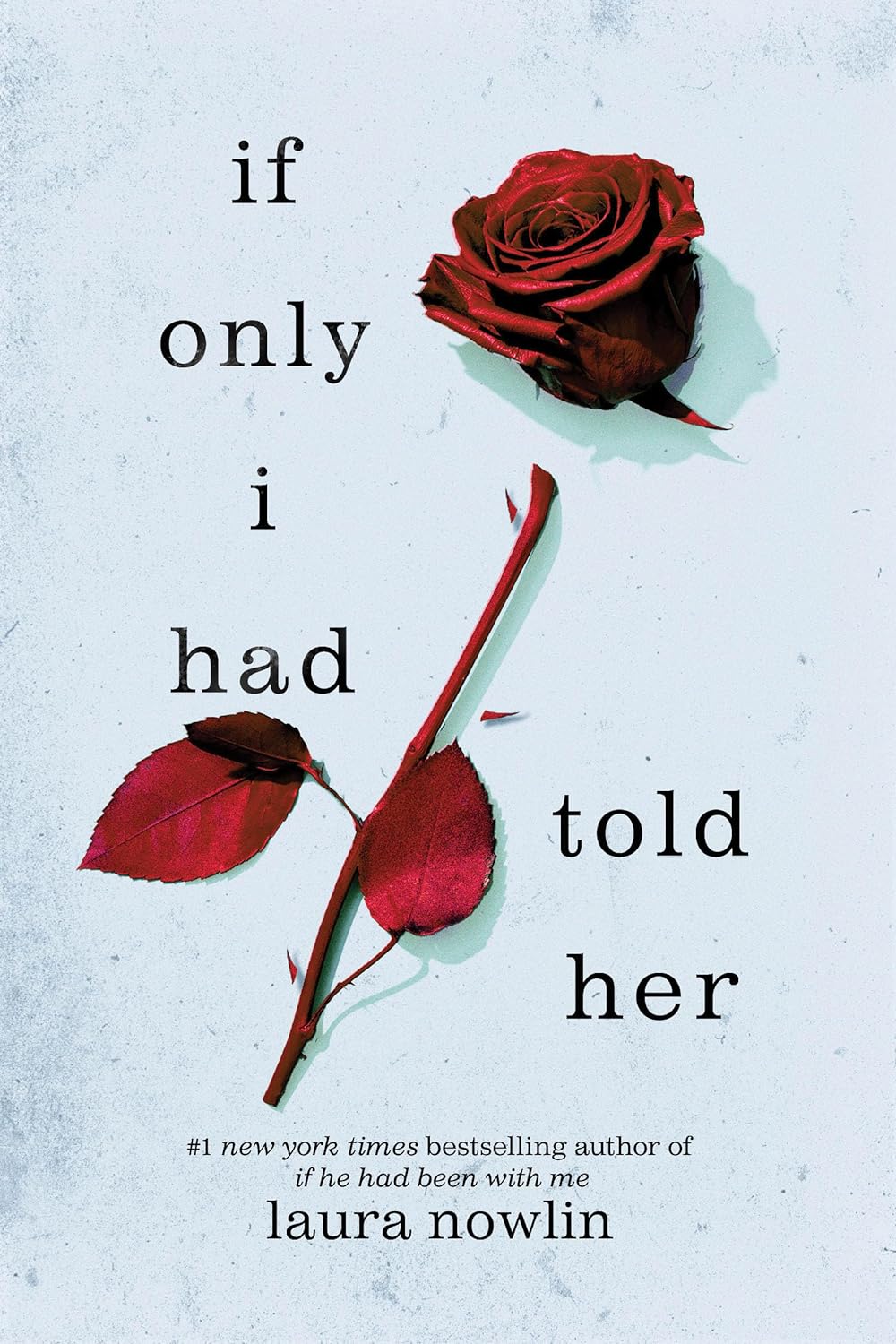 If Only I Had Told Her by Laura Nowlin - Book Monk