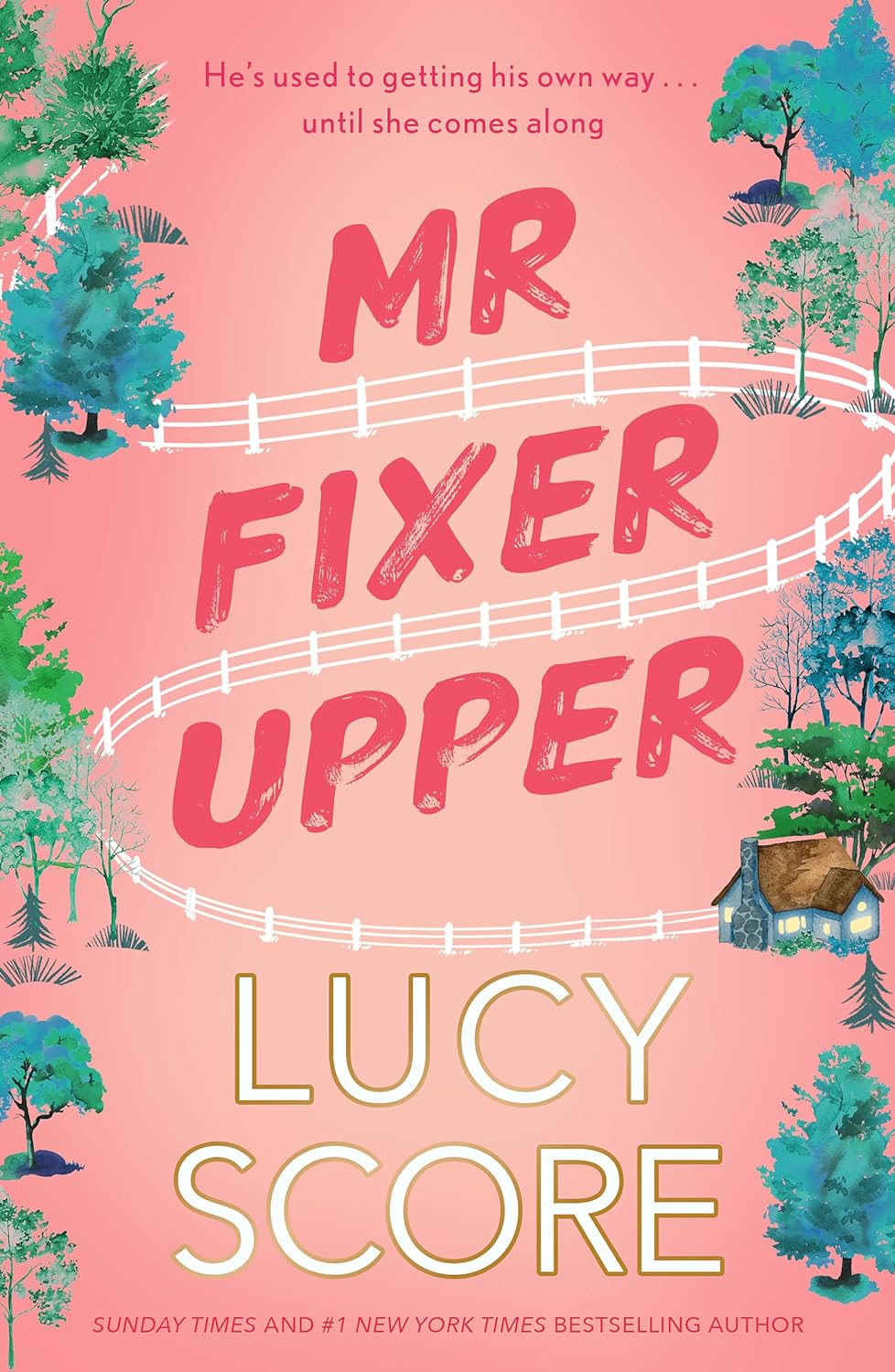 Mr Fixer Upper: the new romance from the bestselling Tiktok sensation! by Lucy Score - Book Monk