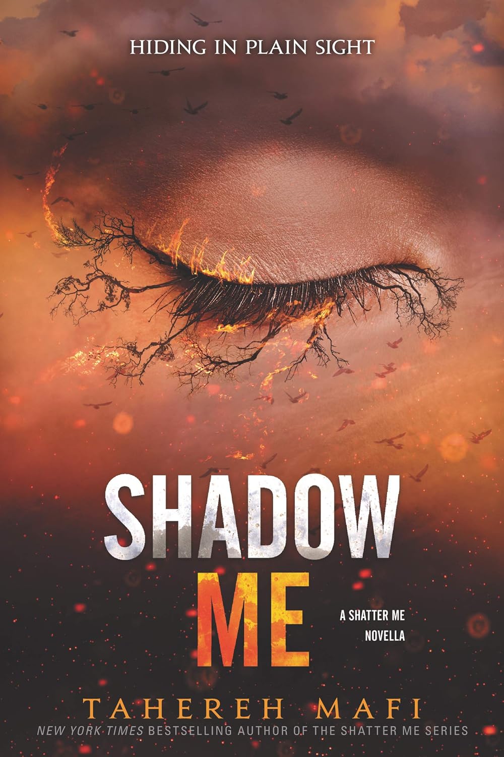 Shadow Me by Tahereh Mafi - Book Monk