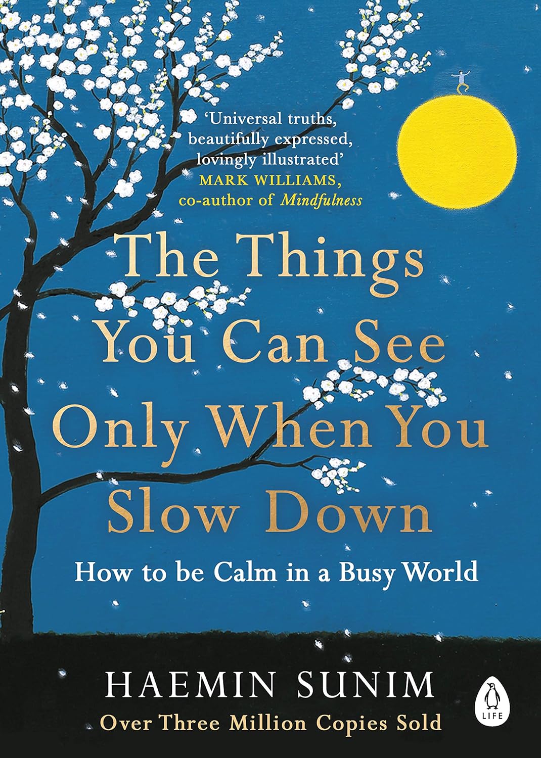 The Things You Can See Only When You Slow Down - Book Monk