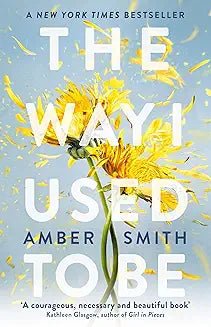 The Way I Used To Be by Amber Smith - Book Monk