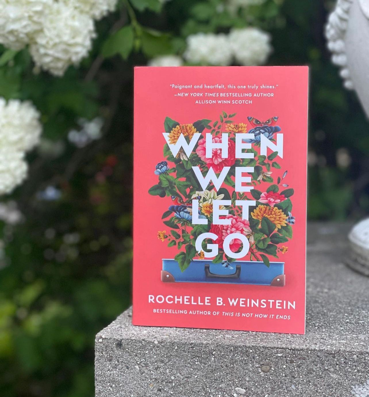 When We Let Go by Rochelle B. Weinstein - Book Monk